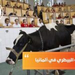 دراسة الطب البيطري في ألمانيا