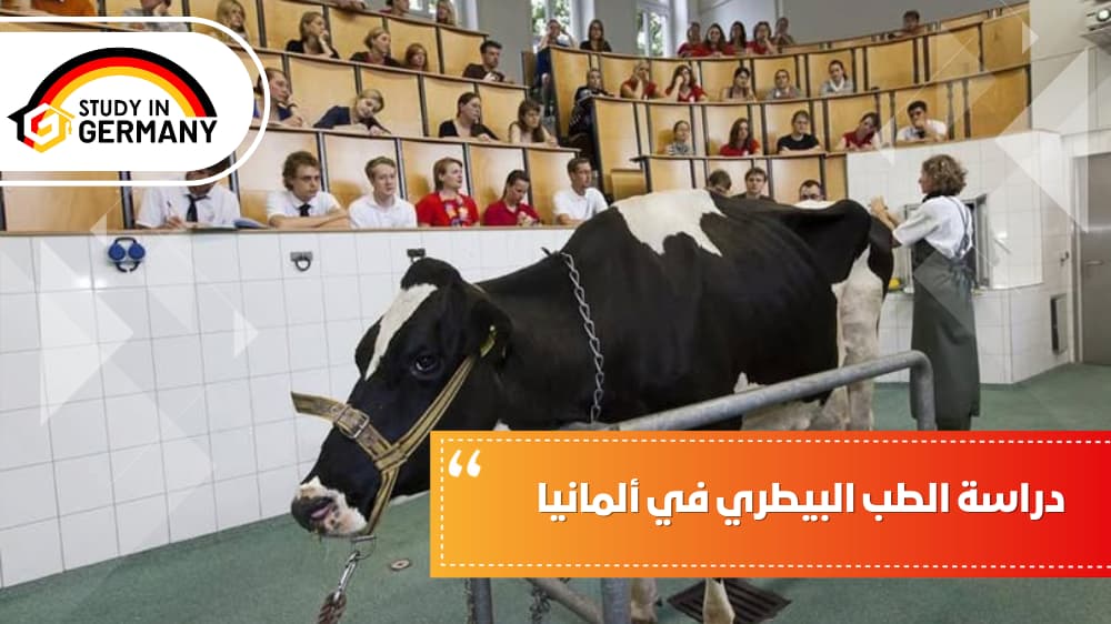 دراسة الطب البيطري في ألمانيا