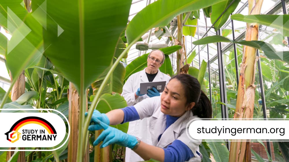 دراسة الزراعة في ألمانيا