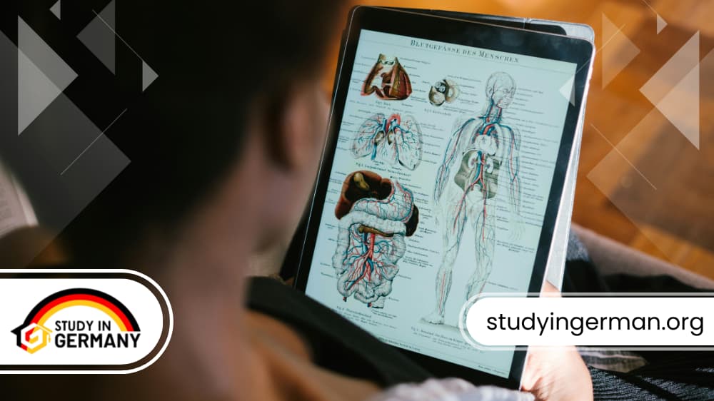 دراسة الطب في ألمانيا باللغة الإنجليزية