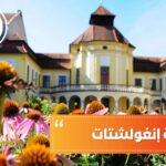 جامعة إنغولشتات